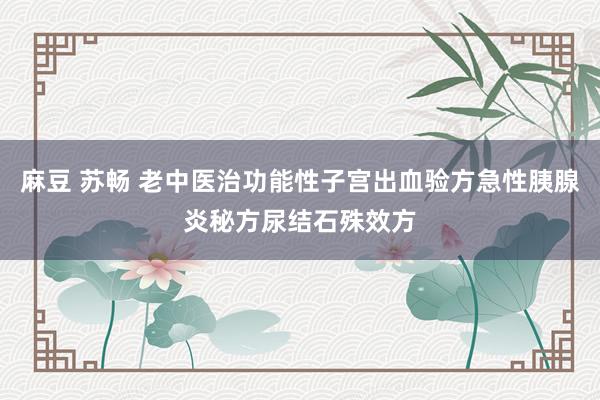 麻豆 苏畅 老中医治功能性子宫出血验方急性胰腺炎秘方尿结石殊效方