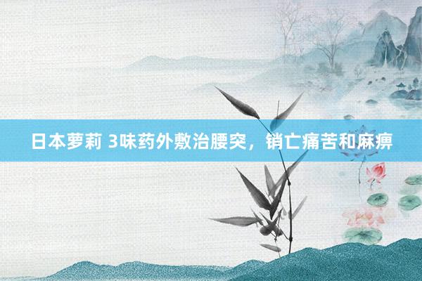 日本萝莉 3味药外敷治腰突，销亡痛苦和麻痹