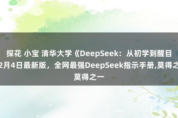 探花 小宝 清华大学《DeepSeek：从初学到醒目》2月4日最新版，全网最强DeepSeek指示手册，莫得之一